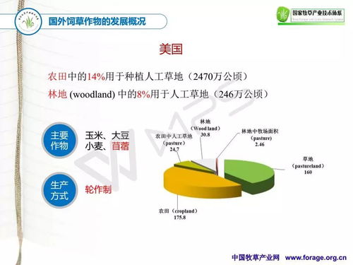 十三五期間國(guó)家牧草產(chǎn)業(yè)技術(shù)體系網(wǎng)絡(luò)系統(tǒng)工程技術(shù)的創(chuàng)新與發(fā)展